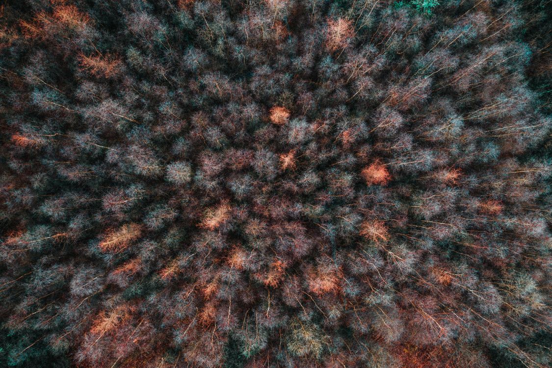 Morena, Tejido de Punto, Lana, Patrón, Arte Fractal. Wallpaper in 5464x3640 Resolution