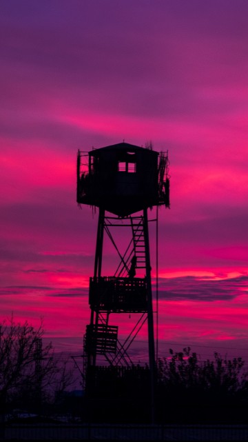Image silhouette of trees during sunset