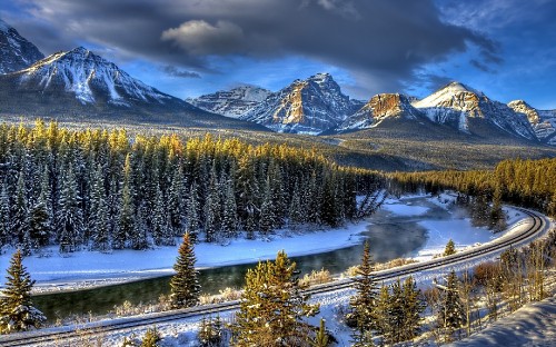 Image green pine trees near snow covered mountain under blue sky during daytime