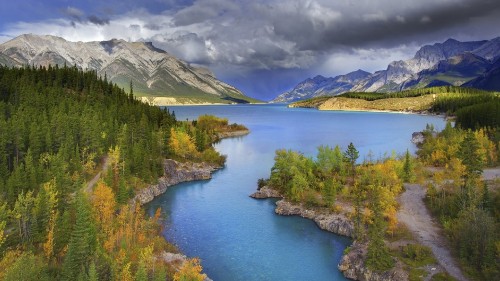 Image green trees near lake under blue sky during daytime