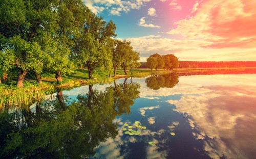 Image green trees beside river under blue sky during daytime