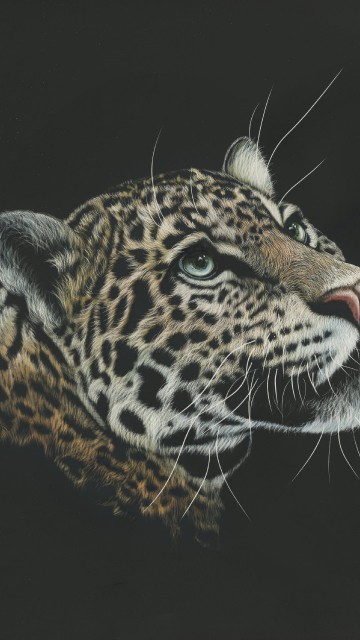 Image brown and black leopard in black background