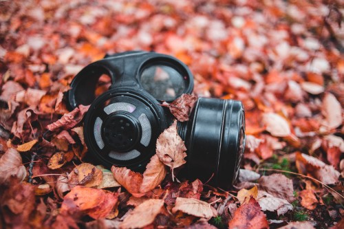 Image black camera lens on dried leaves