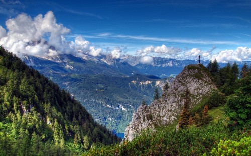 Image green trees on mountain under blue sky during daytime