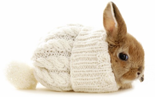 Image brown rabbit on white knit textile