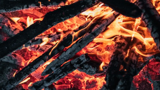 Image campfire, firewood, ash, fire, flame