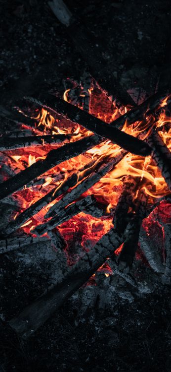 Fogata, Leña, Ceniza, Fuego, Llama. Wallpaper in 1284x2778 Resolution