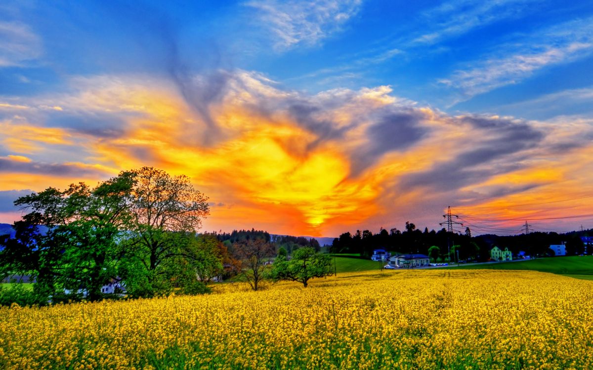 green grass field under cloudy sky during daytime