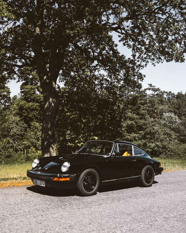 Schwarzer Porsche 911 Geparkt Auf Grüner Wiese in Der Nähe Von Grünen Bäumen Tagsüber. Wallpaper in 3194x3992 Resolution
