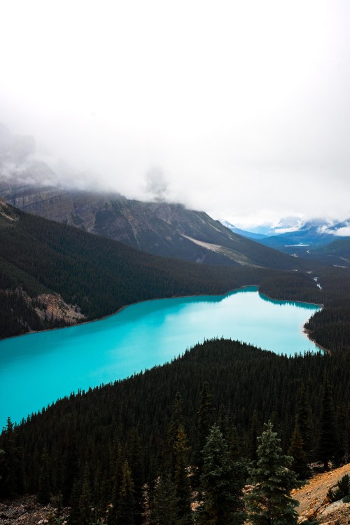 Image Icefields Parkway, lake, banff, wilderness, mountainous landforms