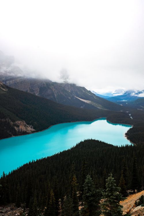 Icefields Parkway, lake, banff, wilderness, mountainous landforms