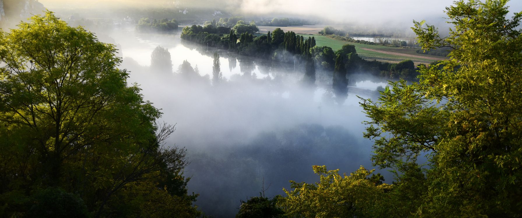 green trees near body of water during daytime