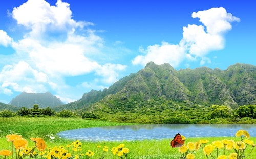 Image woman in red bikini sitting on yellow flower field near green mountains during daytime