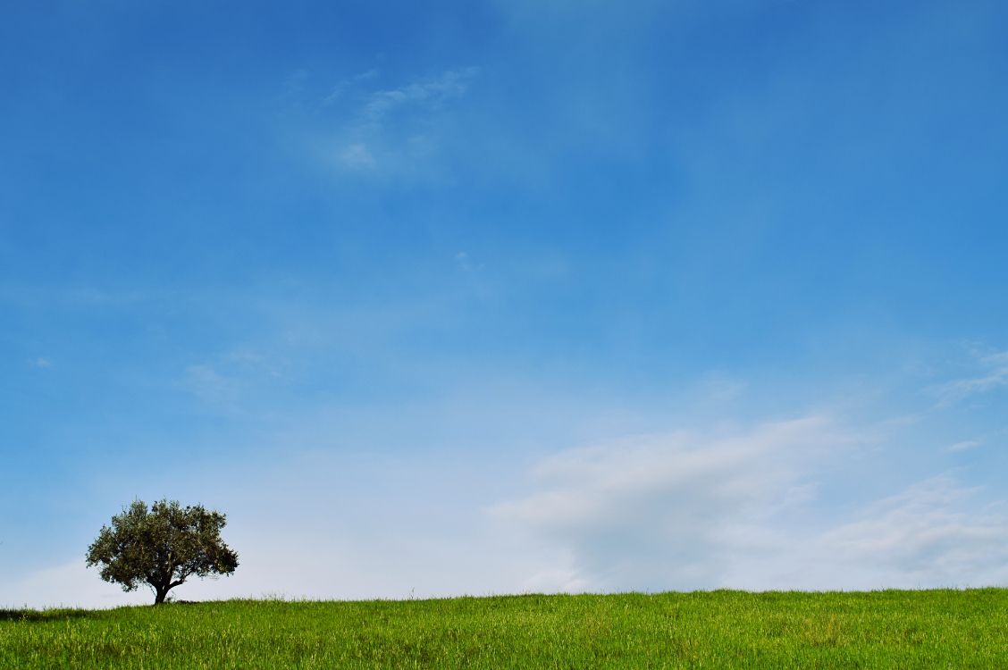 Azul, Verde, Paisaje Natural, Estepa, Naturaleza. Wallpaper in 5928x3938 Resolution