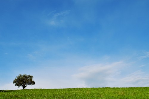 Image Zwettl, blue, sky, Hotel Schwarz Alm, daytime