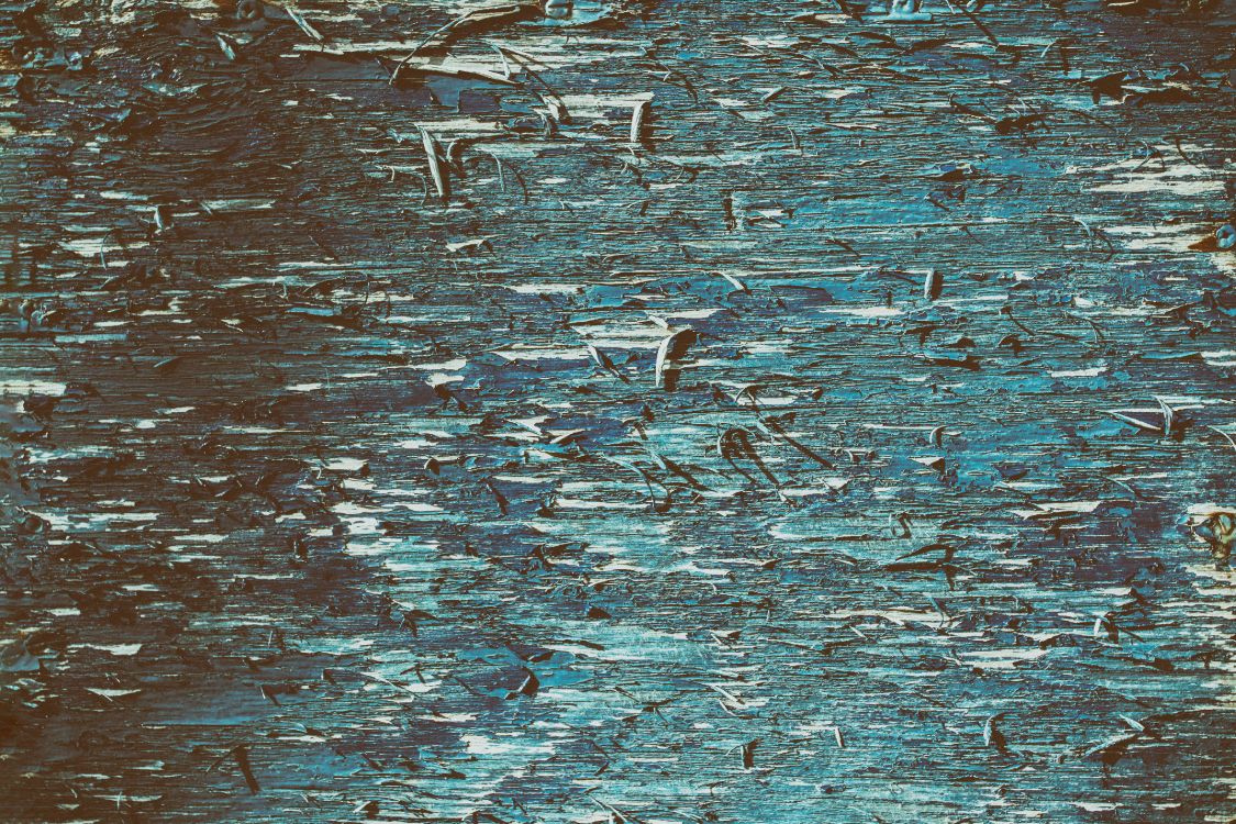 Oiseaux Blancs et Noirs Sur L'eau. Wallpaper in 4394x2929 Resolution