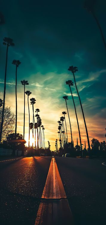Cloud, Atmosphäre, Street Light, Afterglow, Natur. Wallpaper in 1420x3000 Resolution