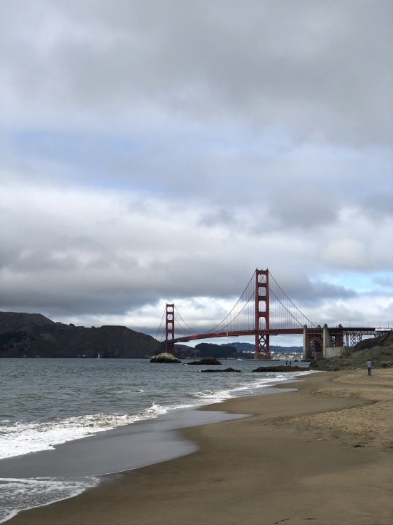 San Francisco, Mar, Costa, Agua, la Física. Wallpaper in 1536x2048 Resolution