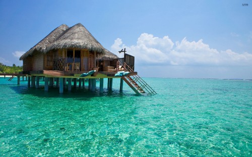 Image brown wooden beach house on blue sea under blue sky during daytime