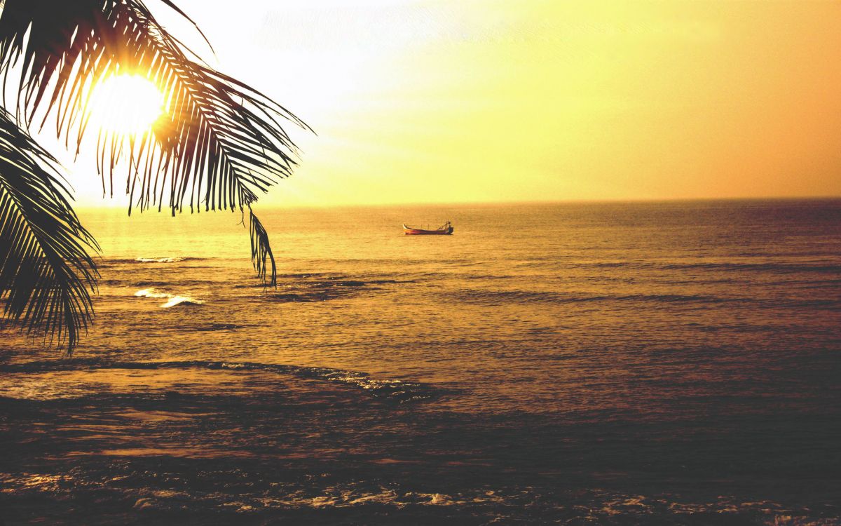 beach umbrellas on beach shore during sunset