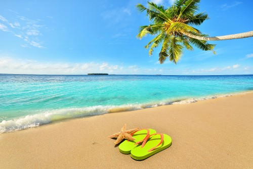 Image green and yellow flip flops on beach shore during daytime