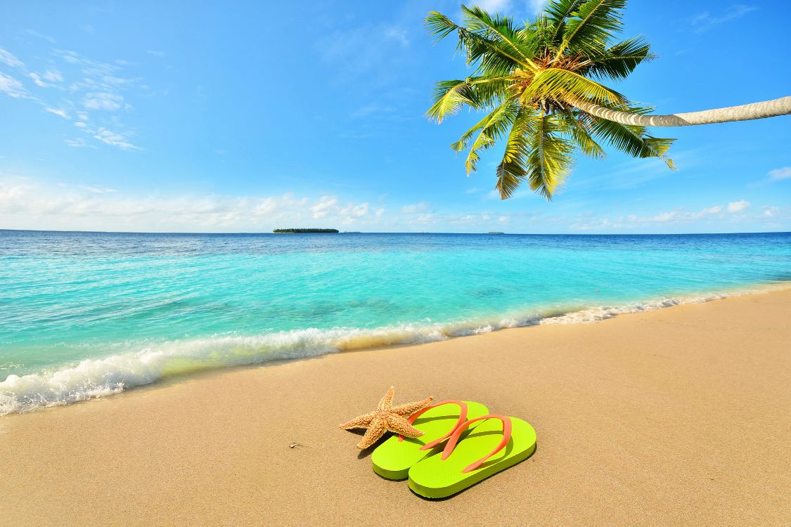 green and yellow flip flops on beach shore during daytime