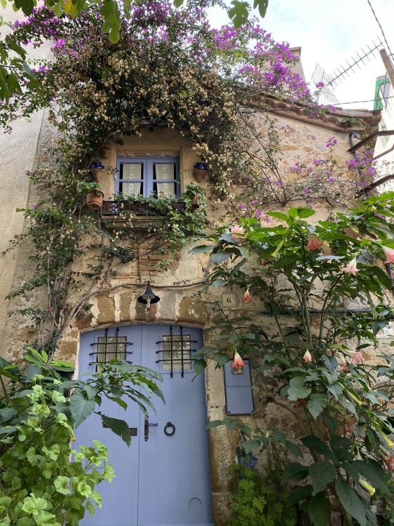 Immobilier, Architecture, Purple, Mur, Porte. Wallpaper in 1536x2048 Resolution