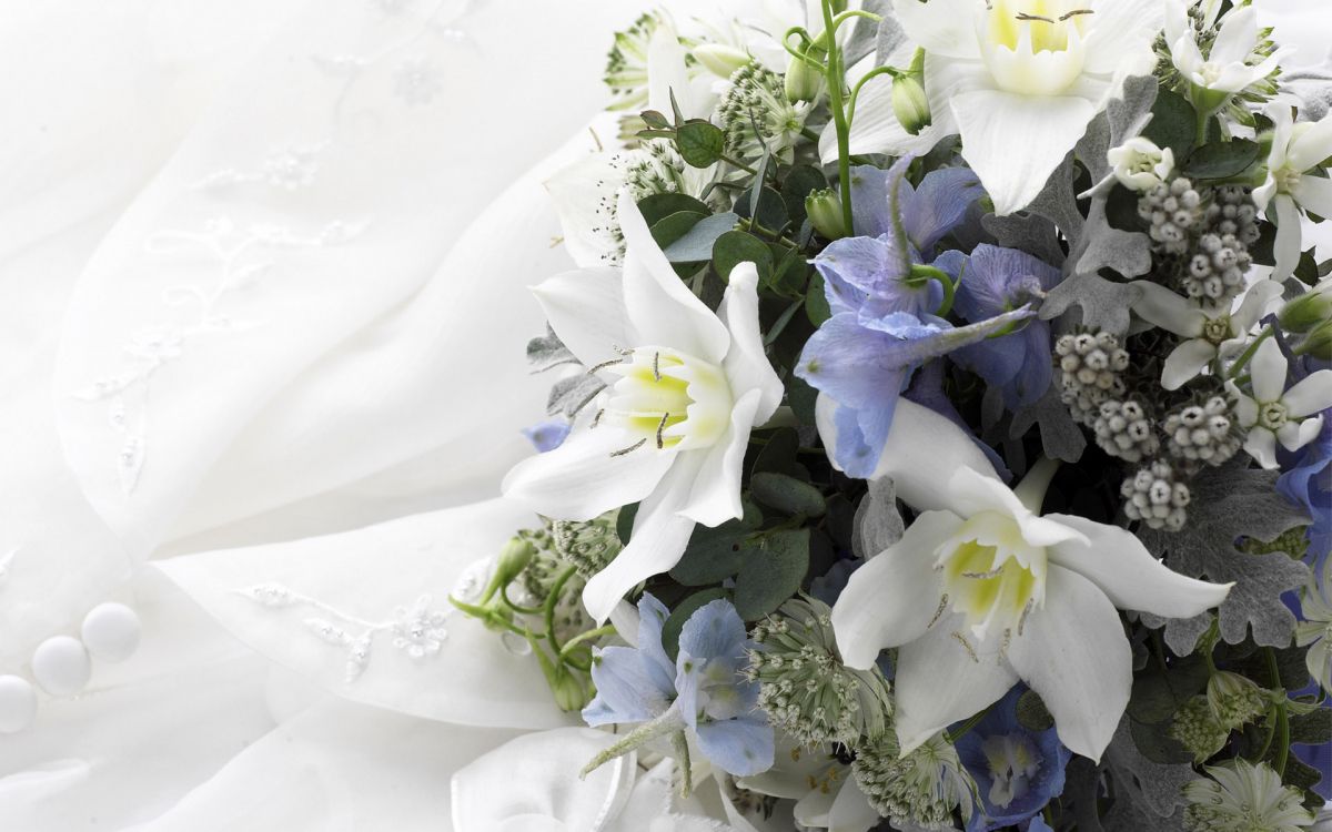 花卉设计, 白色, 花安排, 花艺, 切花 壁纸 1920x1200 允许