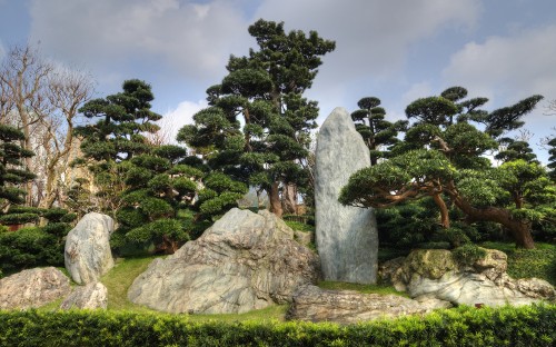 Image green trees and gray rocks