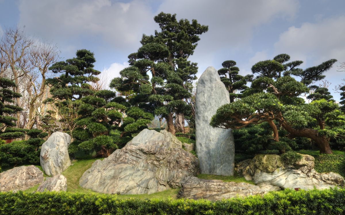 green trees and gray rocks