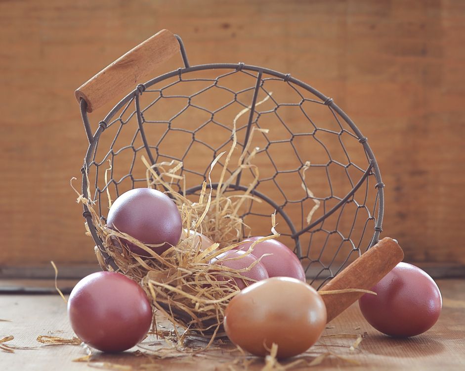 egg, nest, bird nest, easter egg, basket