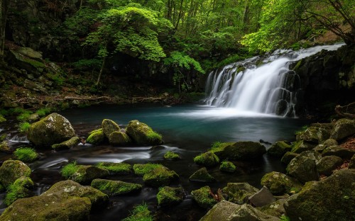 Image water falls in the middle of the forest