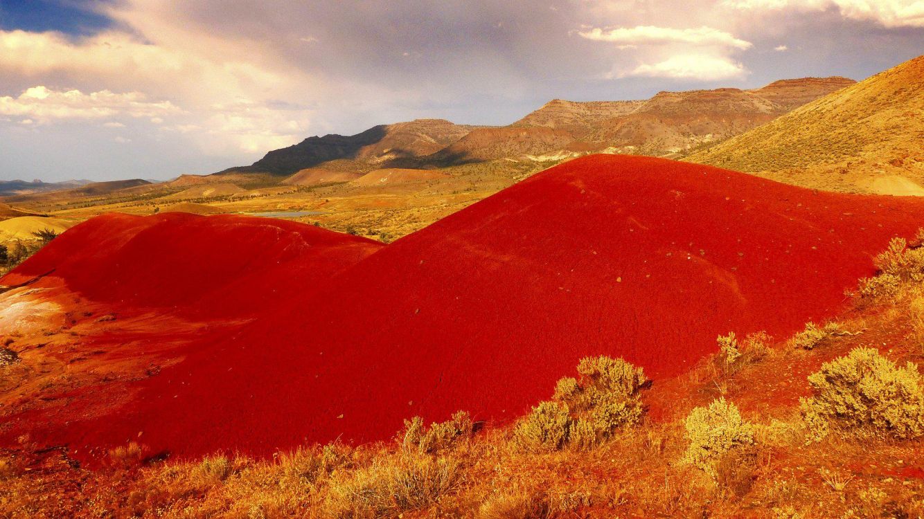荒野, 性质, 苔原, 高地, 天空 壁纸 2048x1151 允许