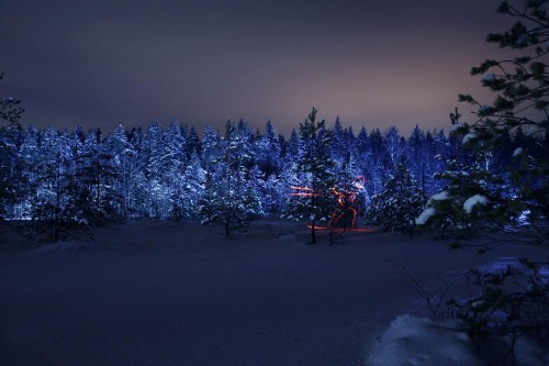 Image pine trees covered with snow during night time