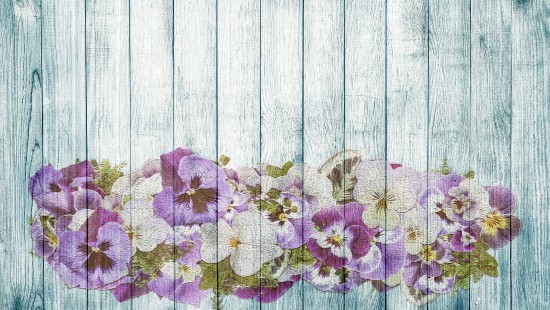Image purple and white flowers on gray wooden surface