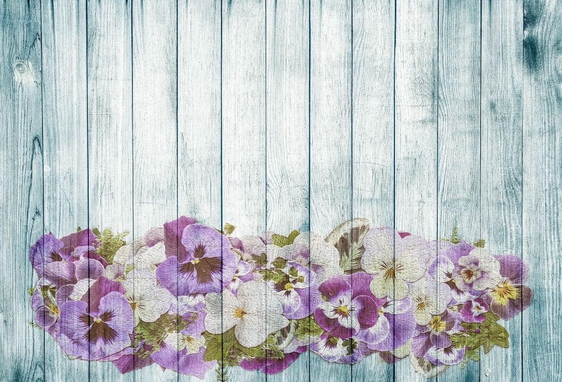 purple and white flowers on gray wooden surface