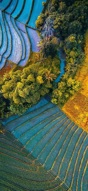 华硕, Asus ZenFone, Asus ZenFone 6, 华硕zenfone Max Pro, Fhd 壁纸 1080x2340 允许