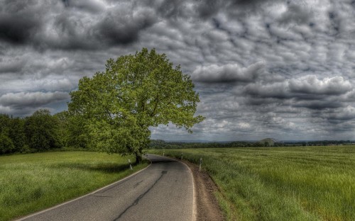 Image green grass field near road under gray clouds