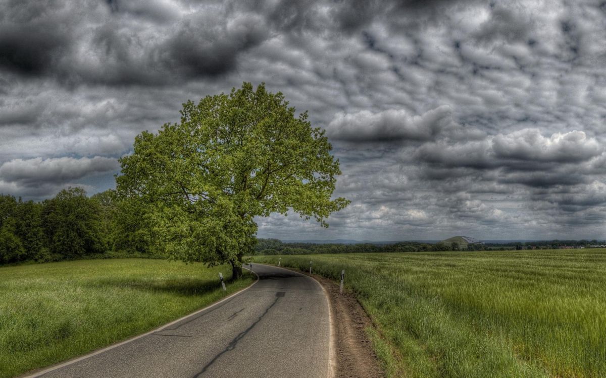 green grass field near road under gray clouds