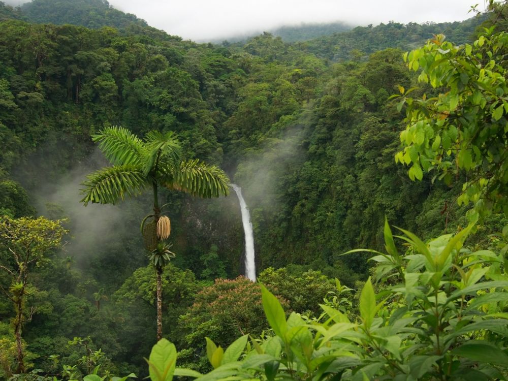 person in brown shoes standing on brown wooden log in front of waterfalls