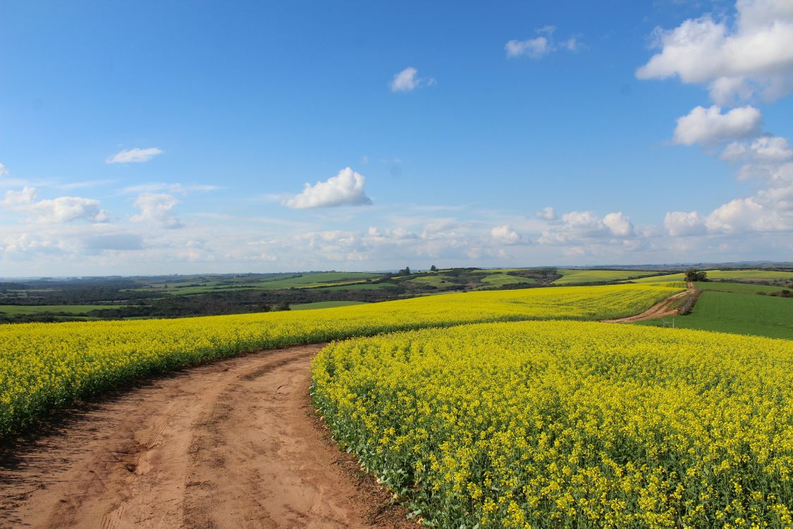 Cloud, Ökoregion, Naturlandschaft, Menschen in Der Natur, Landwirtschaft. Wallpaper in 5184x3456 Resolution