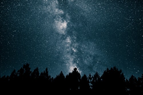 Image silhouette of trees under blue sky