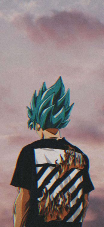 Dragon Ball, L'anime, de Goku Profil Triste, Goku, Vegeta. Wallpaper in 1025x2220 Resolution