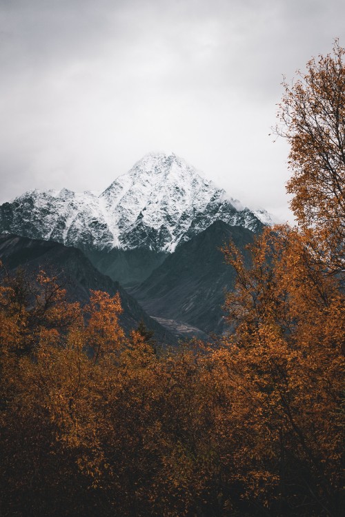 Image mountain, alps, mountainous landforms, mountain range, tree