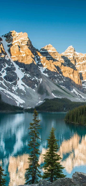 Image green trees near lake and snow covered mountain during daytime