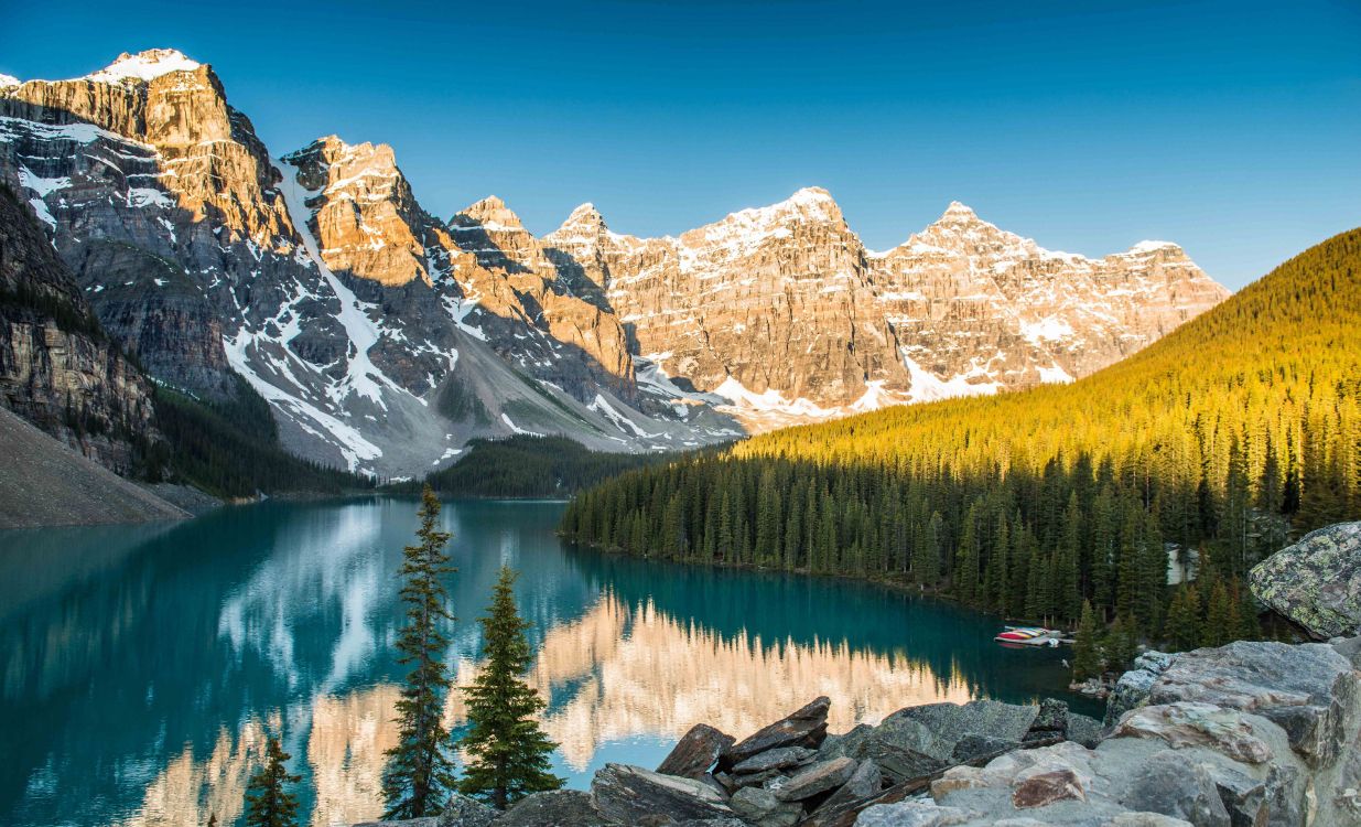 green trees near lake and snow covered mountain during daytime