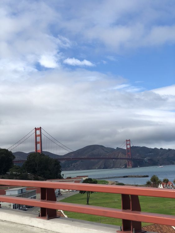 Atirantado de Puente, Extradosed Puente, Puente Colgante, Puente, Puente de Viga. Wallpaper in 1536x2048 Resolution