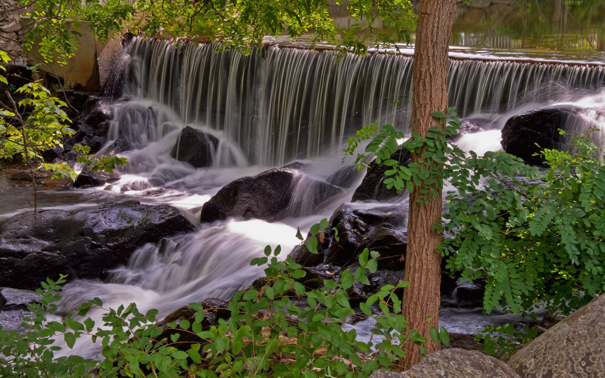 水资源, 人体内的水, 性质, 水道, 自然保护区 壁纸 2880x1800 允许