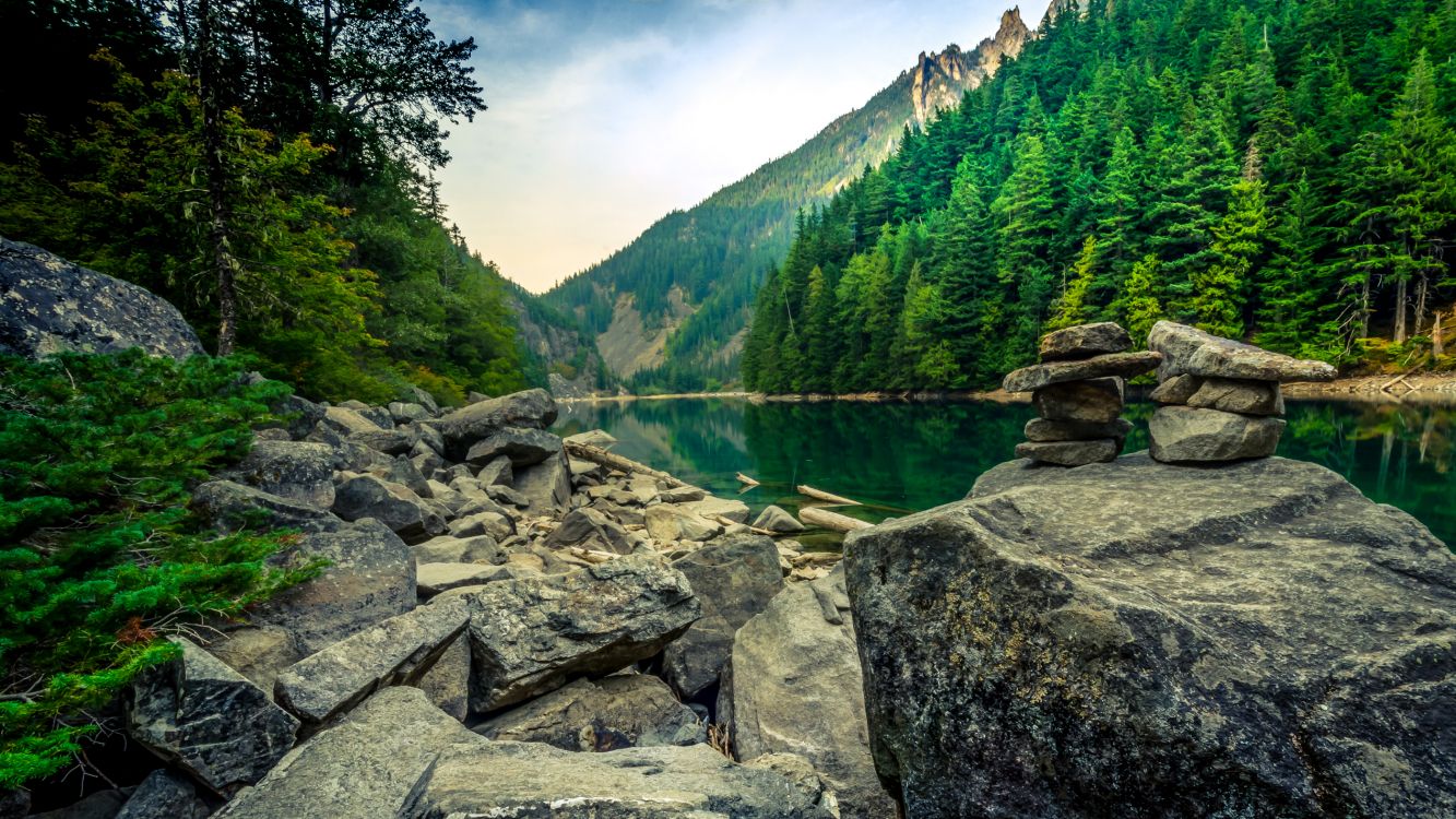 green trees near lake under white clouds and blue sky during daytime