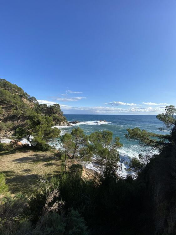 coast, vegetation, terrain, tropics, beach